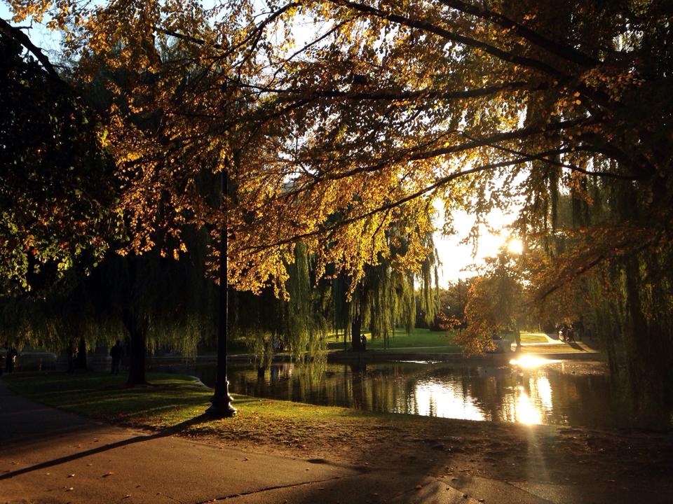 stephanieritaphoto_bostongardens