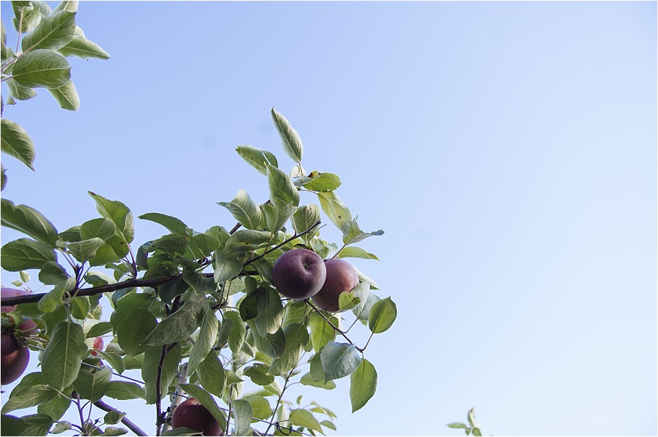 personalFALLpost_stephanieritaphoto_0013