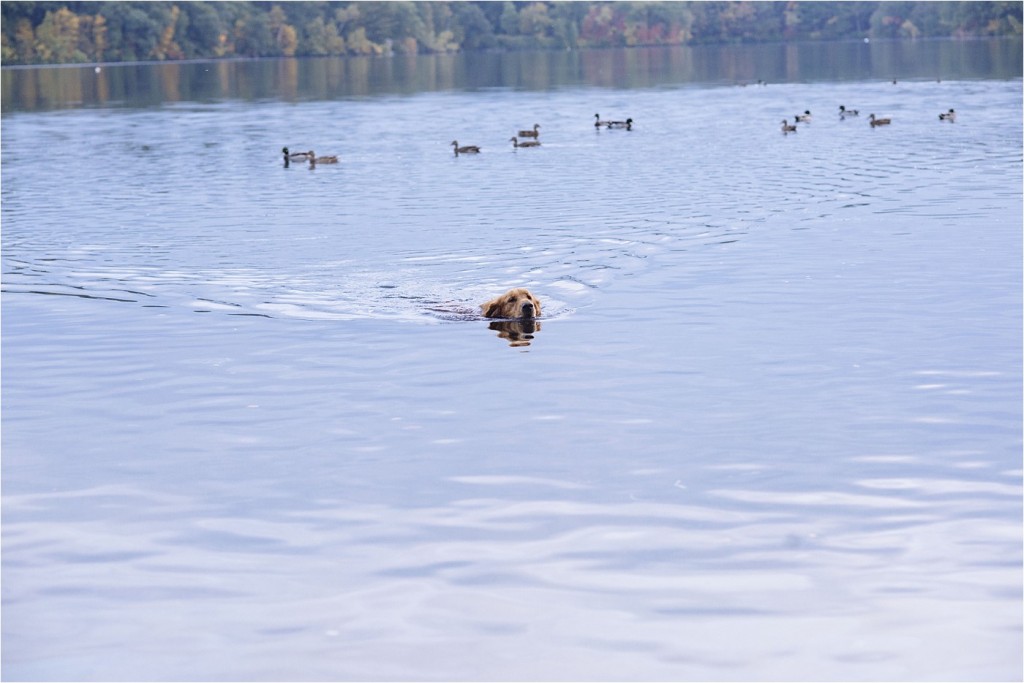 wellesleymaternity_portraitphotographer_stephanieritaphoto_0011