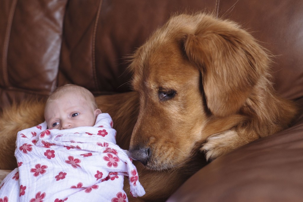 sloan_newbornphotography_newton_stephanieritaphoto_0028