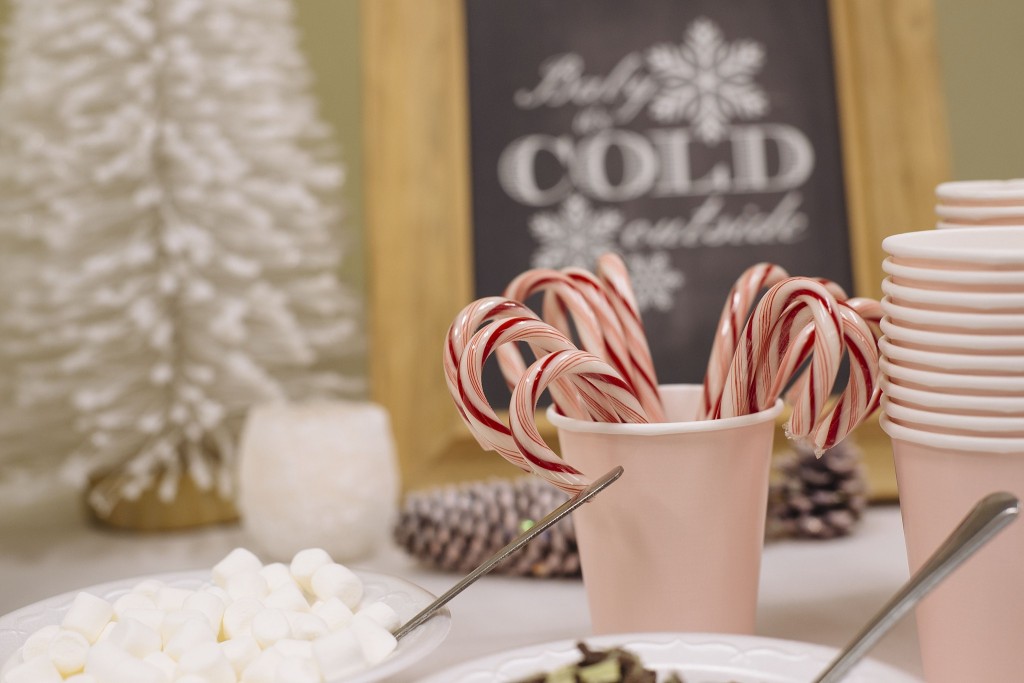 New Hampshire Event Planner_TarynAlyseWeddings_StephanieRitaPhoto_0006