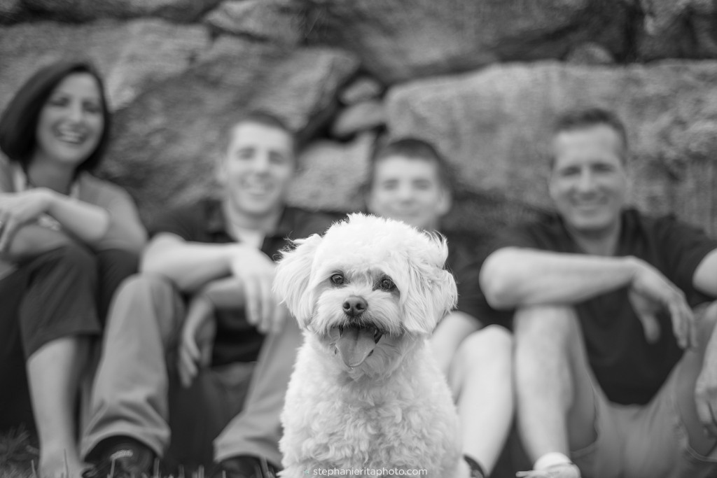 boston_stephanieritaphoto_bestof13_favoritefamilyphotos_0053