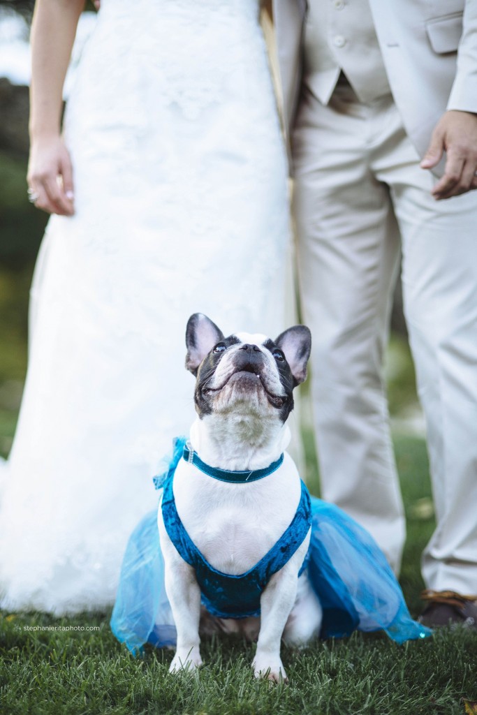 boston_stephanieritaphoto_bestof13_favoriteweddingengagementphotos_0019