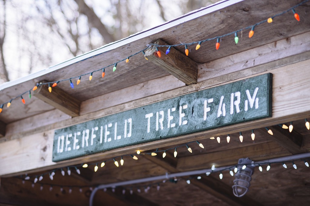deerfieldtreefarm_millisphotographer_stephanieritaphoto_0008