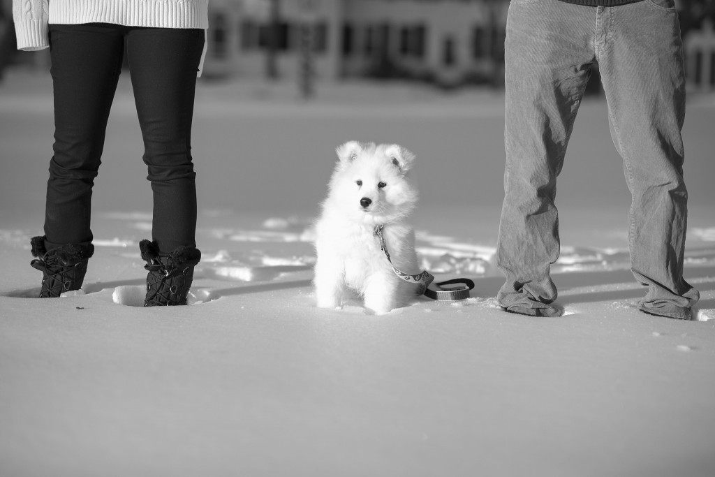 publickhouse_sturbridgephotographer_stephanieritaphoto_0022