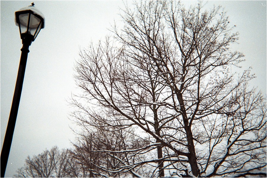 disposableCAM_2014_0066