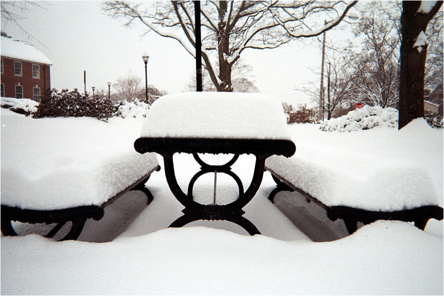 disposableCAM_2014_0067