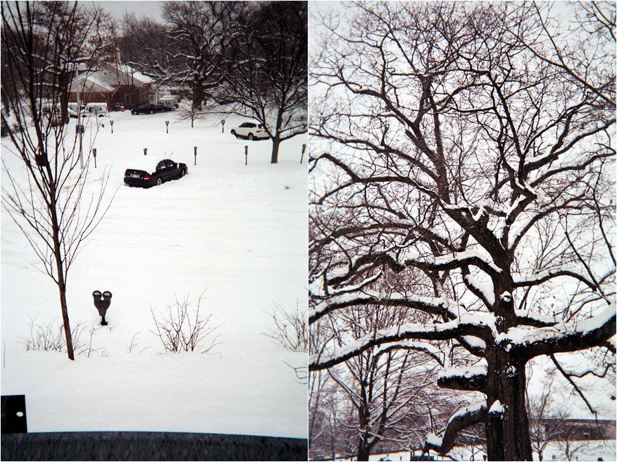 disposableCAM_2014_0069