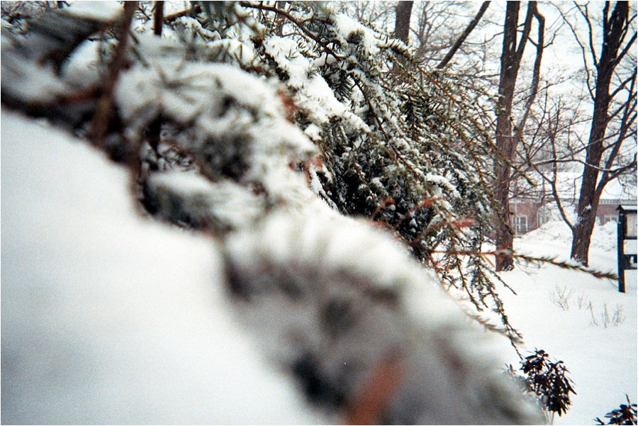 disposableCAM_2014_0075