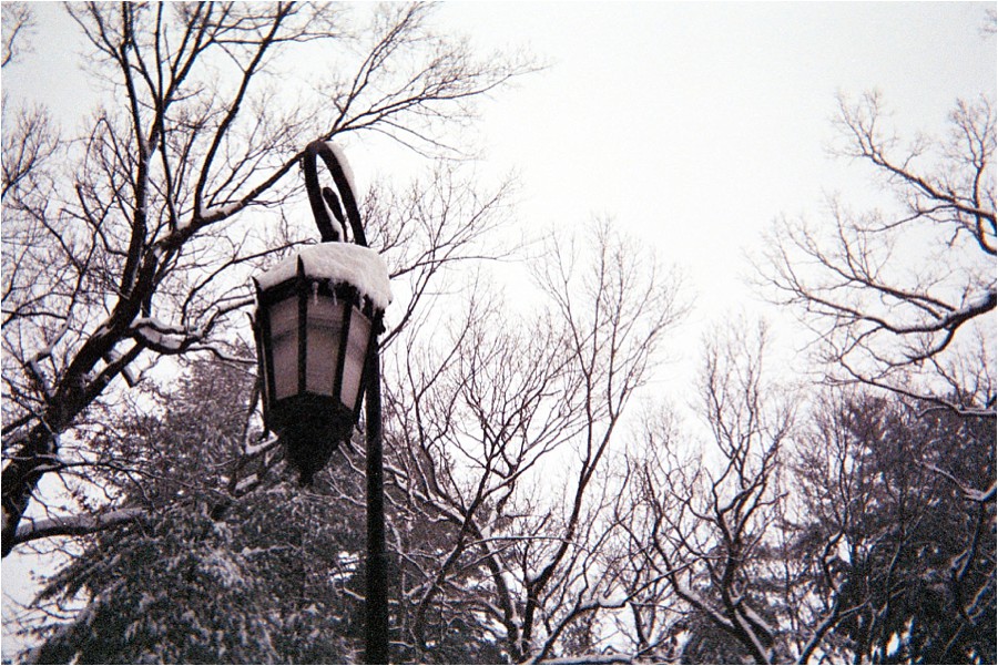 disposableCAM_2014_0076