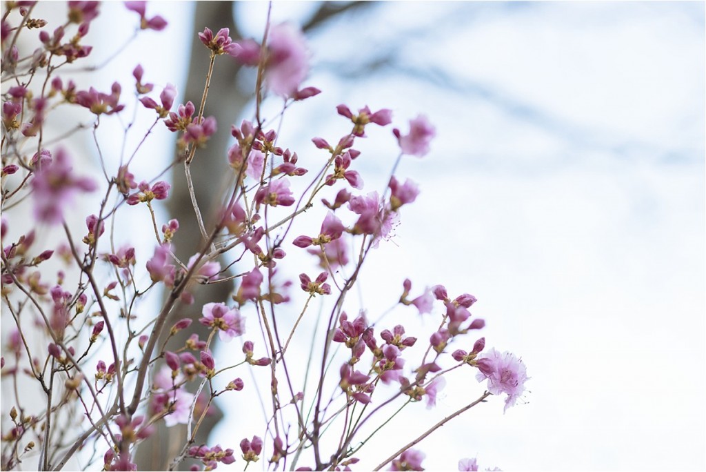 BostonHarborWedding_BostonWedding_SmallWedding_0003
