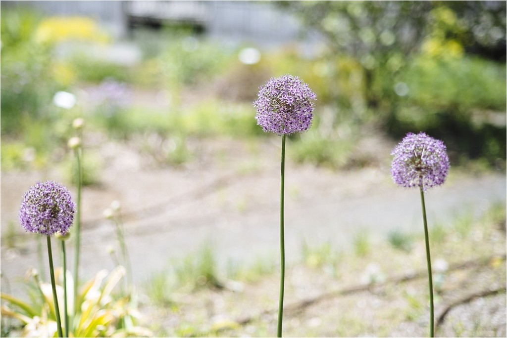 ElmBankWedding_BostonWeddingPhotography_0078_