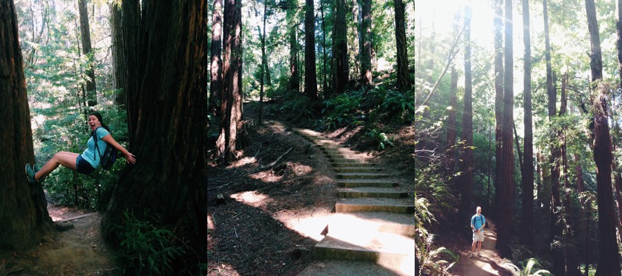 Processed with VSCOcam with c1 preset