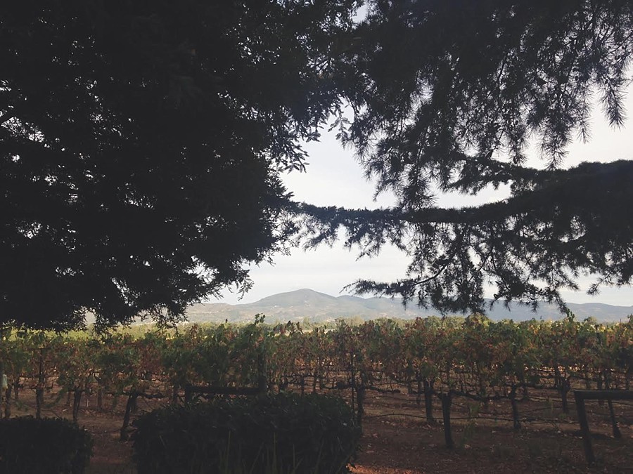 Processed with VSCOcam with t1 preset