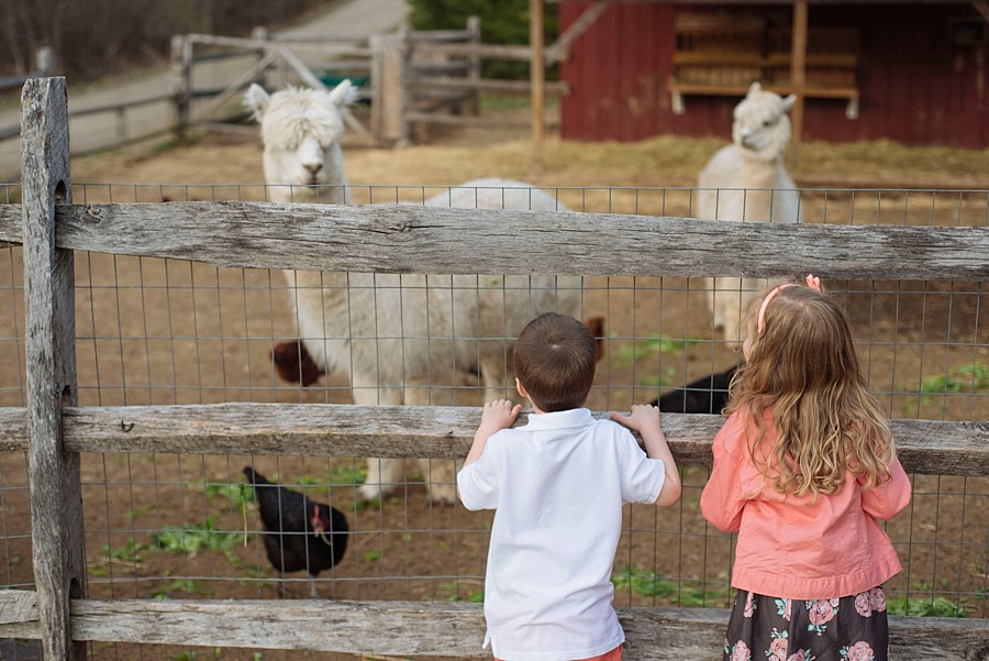NewHampshire_StephanieRitaPhoto_FamilyPhotographerKeene_0015