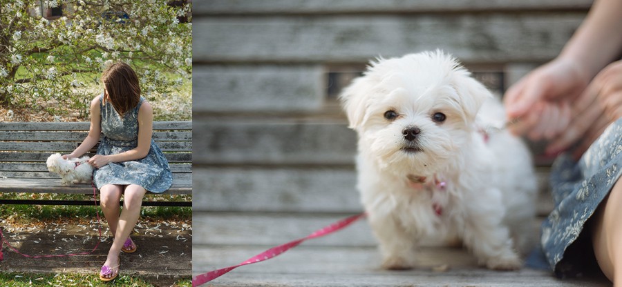 WellesleySeniorPortraits_StephanieRitaPhoto_PortraitPhotographerWellesley_0018