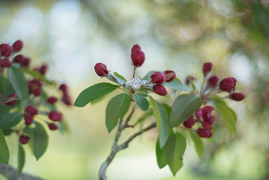Blue Hill Maine Wedding| Maine Destination Wedding Photographer | Stephanie Rita Photography_0080