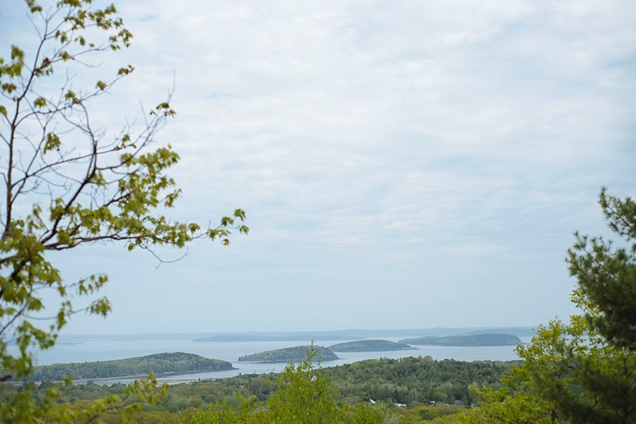 Acadia National Park | Maine Destination Wedding Photographer_0163