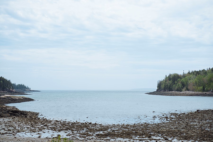 Acadia National Park | Maine Destination Wedding Photographer_0167