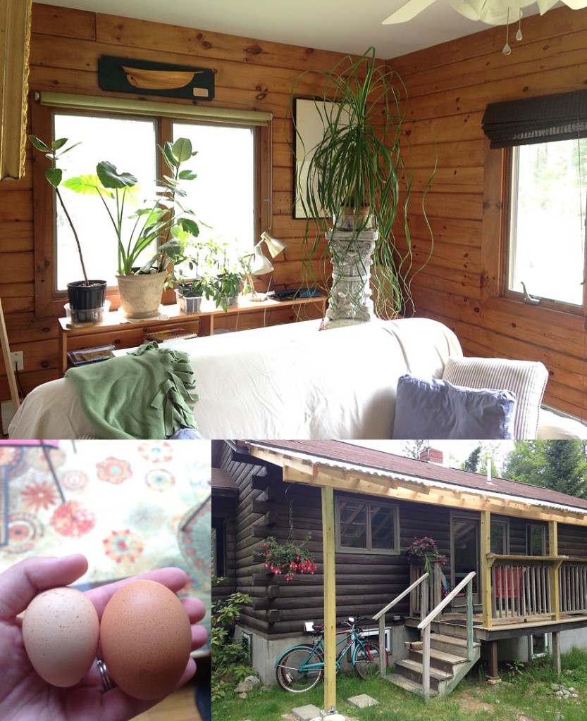 Acadia National Park | Maine Destination Wedding Photographer_0185