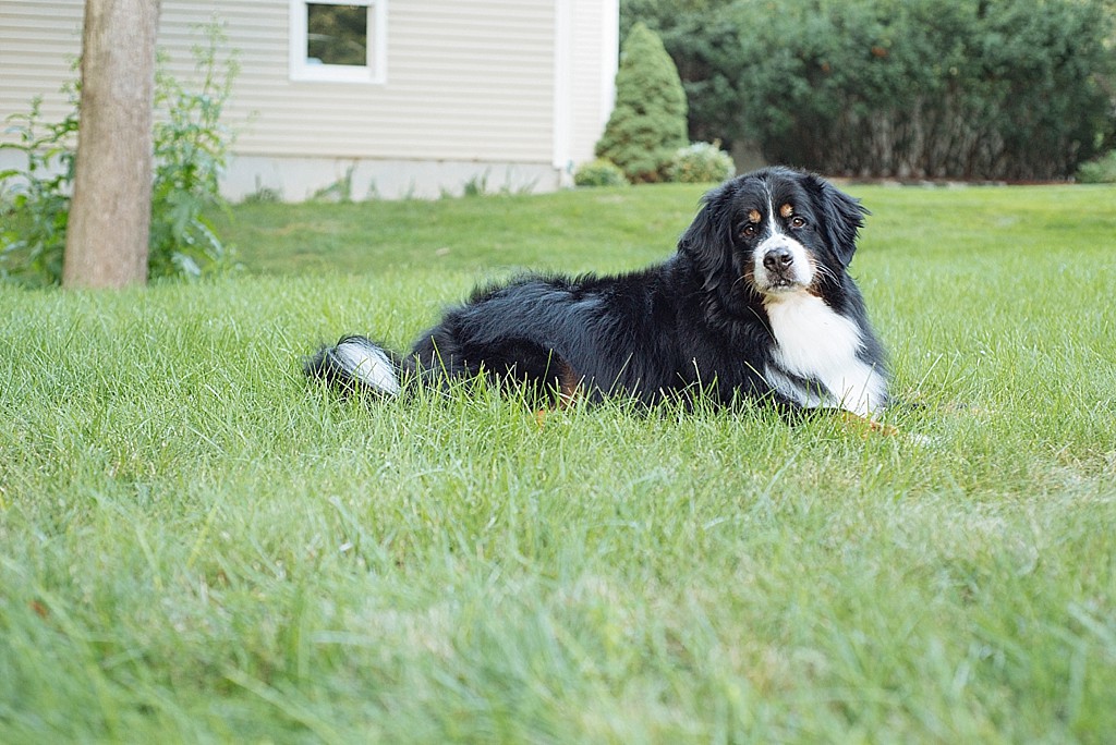 MA Boston Charlestown Family Photography by Stephanie Rita Photo_0027