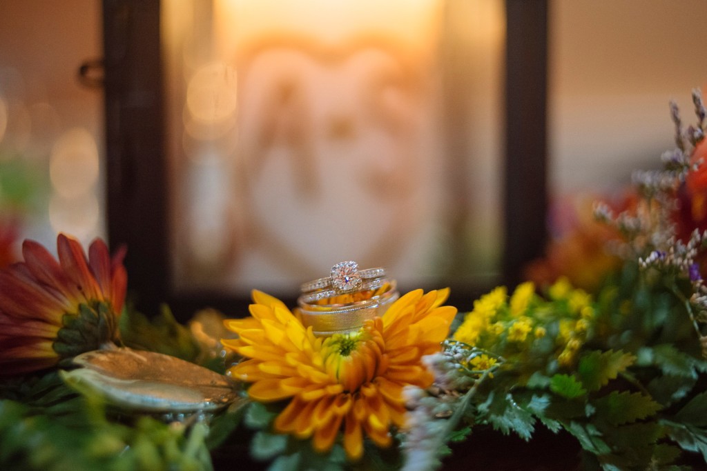 KEENE NH Wedding - New Hampshire Wedding Photography - photography by Stephanie Rita Photo_0036