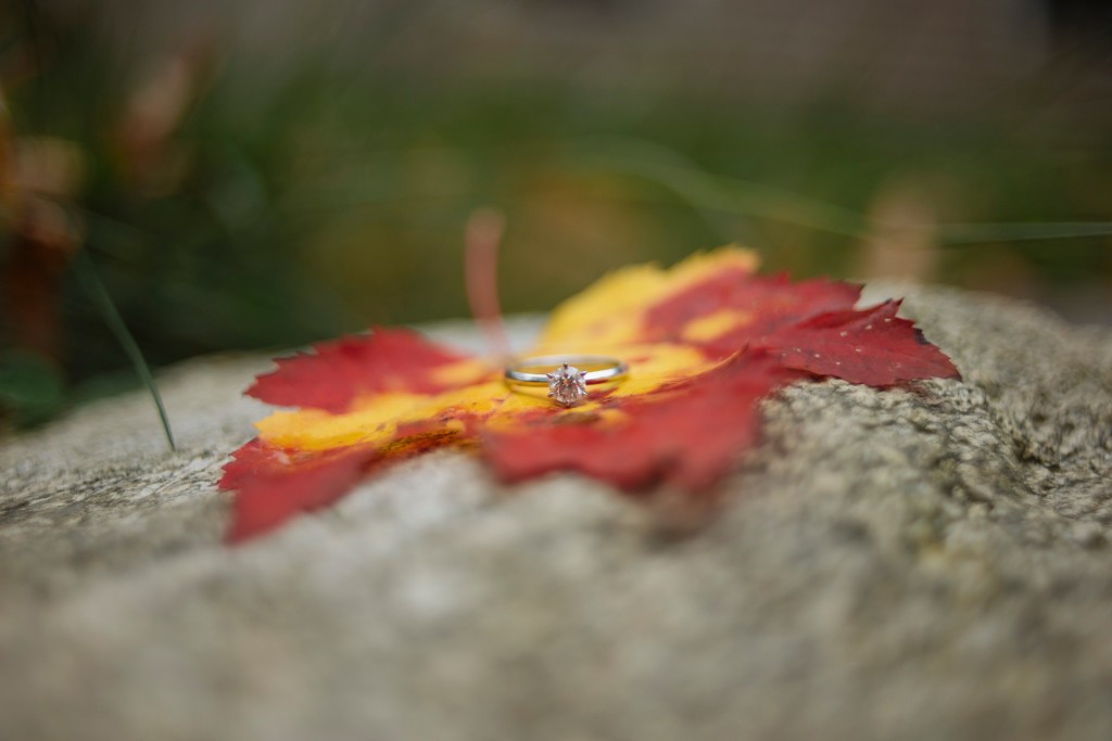 STURBRIDGE MA ENGAGEMENT- ENGAGEMENT PHOTOS - by stephanie rita photography_0013
