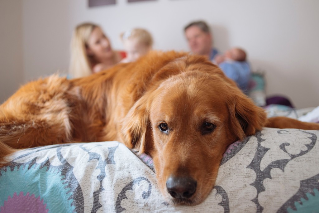 Best Photography by Stephanie Rita Photography in Boston MA 2015_0044