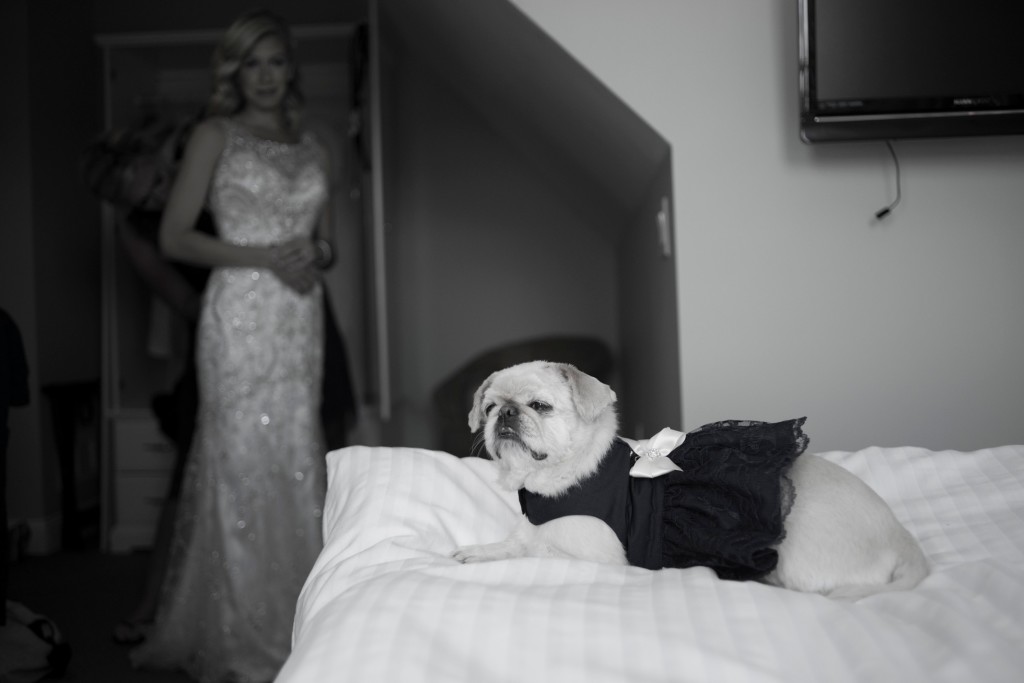 Best Wedding Photography by Stephanie Rita Photography in Boston MA 2015_0105