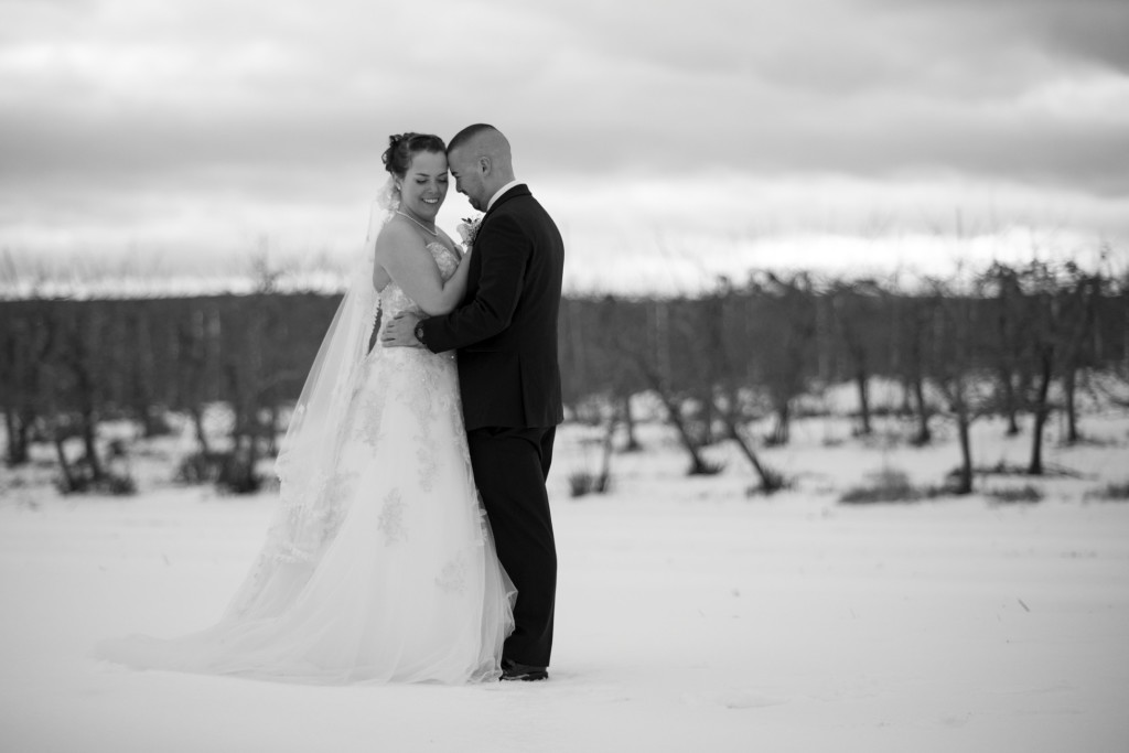 New Hampshire Wedding Photography at Alyson's Orchard by Stephanie Rita Photography in Boston MA_0173