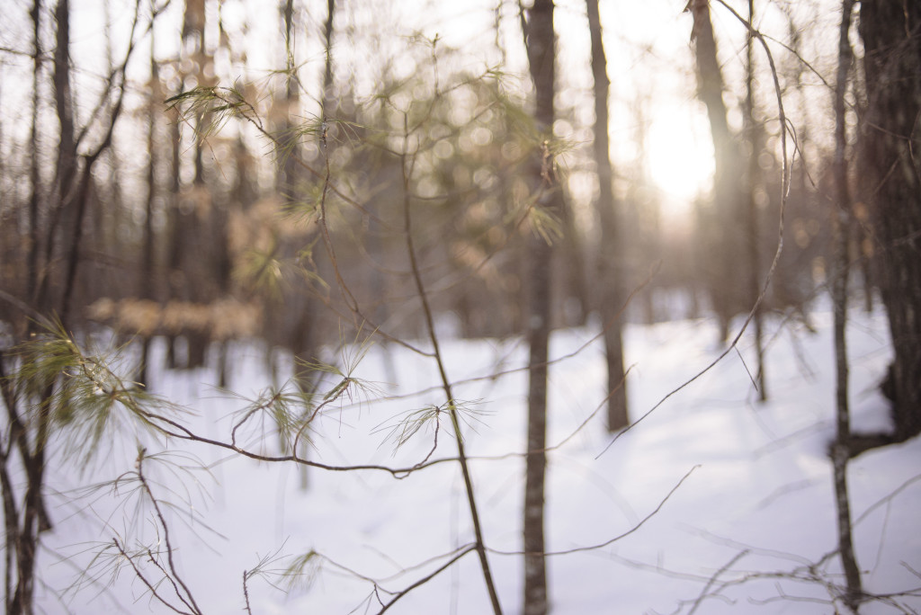 NHPhotographer_ReturntoRest_10