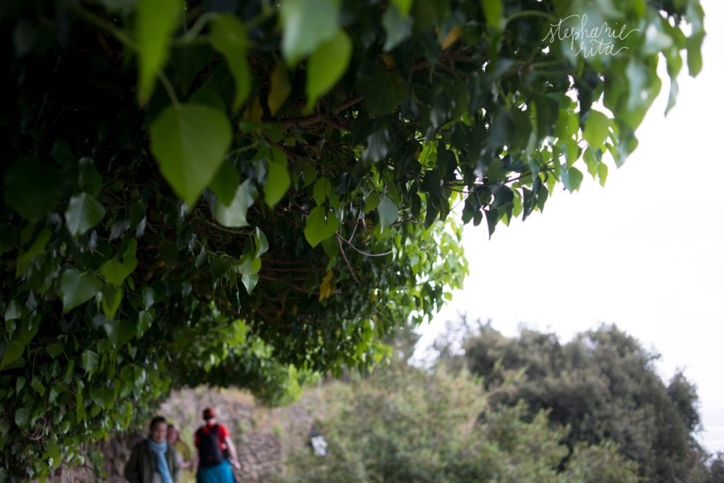 Stephanie Rita Photography in Italy_0099