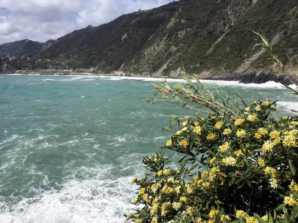Stephanie Rita Photography in Cinque Terre Italy_0127