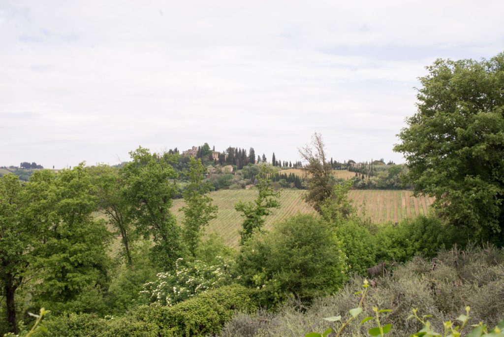 Italy Destination Wedding - Stephanie Rita Photography in Tuscany, Italy_0000