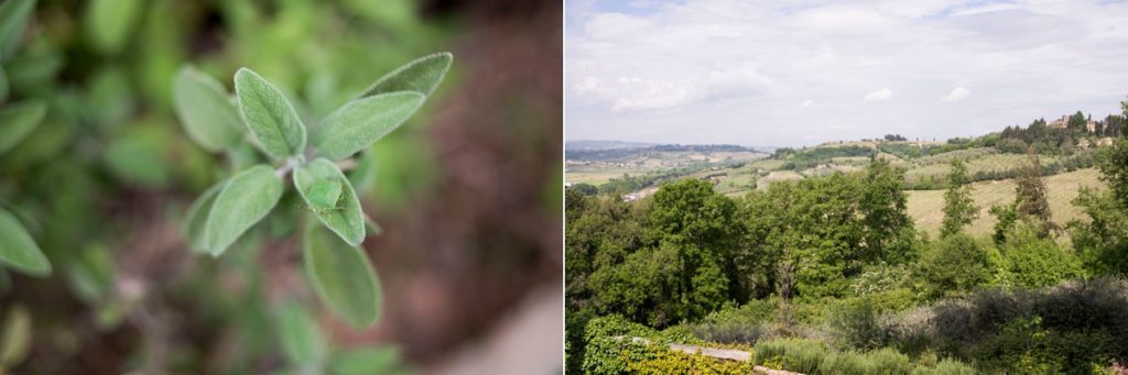 Italy Destination Wedding - Stephanie Rita Photography in Tuscany, Italy_0003