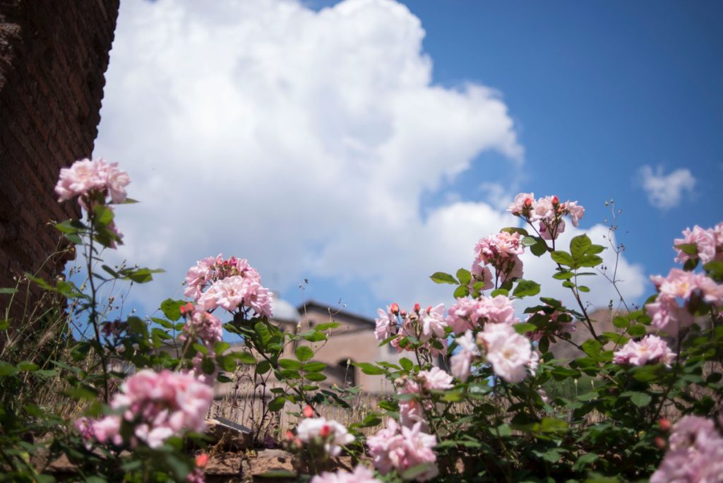 Rome Italy - Stephanie Rita Photography in Rome, Italy_0069