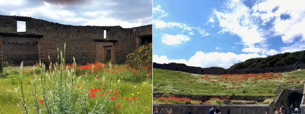 Sorrento Italy - Stephanie Rita Photography in Sorrento, Italy_0090