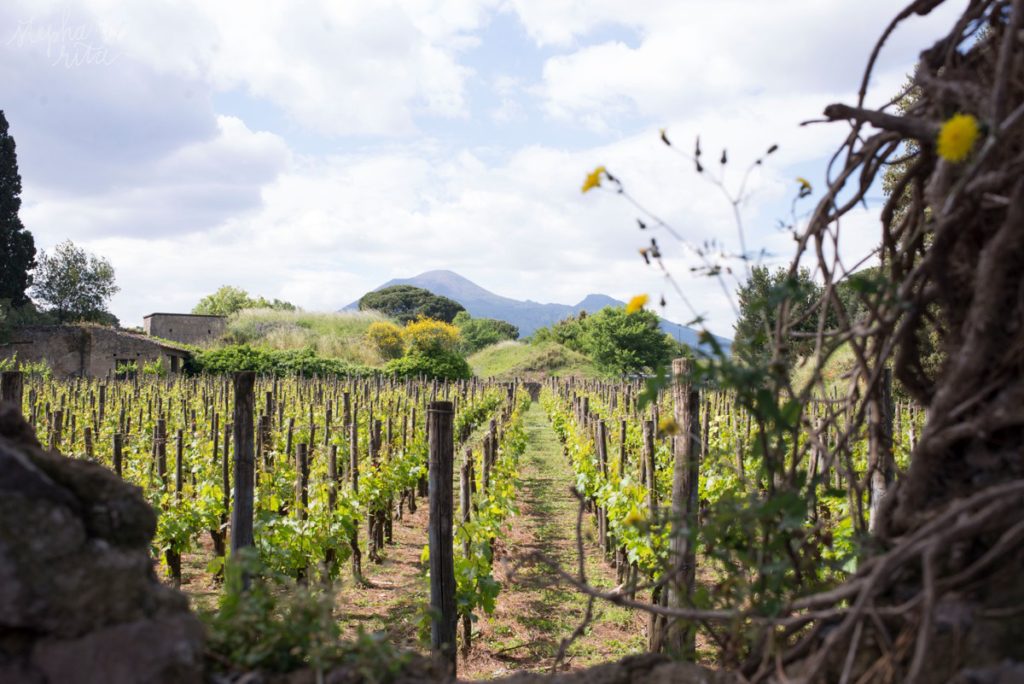 Sorrento Italy - Stephanie Rita Photography in Sorrento, Italy_0092