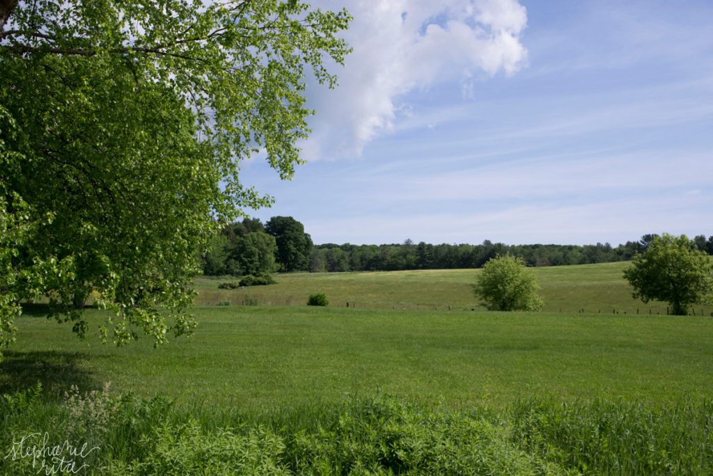 Exploring Vermont - Stephanie Rita Photography_0102