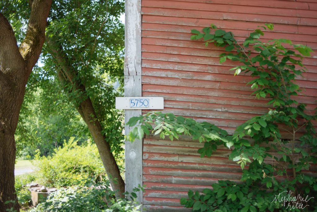 Exploring Vermont - Stephanie Rita Photography_0103