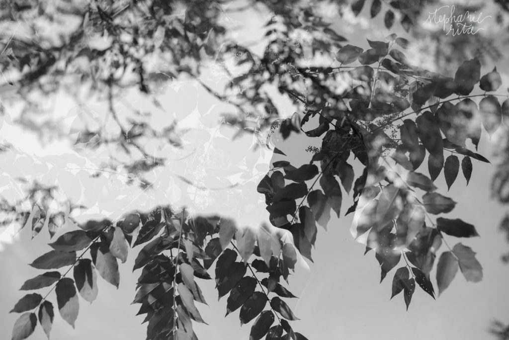 Portrait Headshot Photography near Natick MA by Stephanie Rita Photography_0136