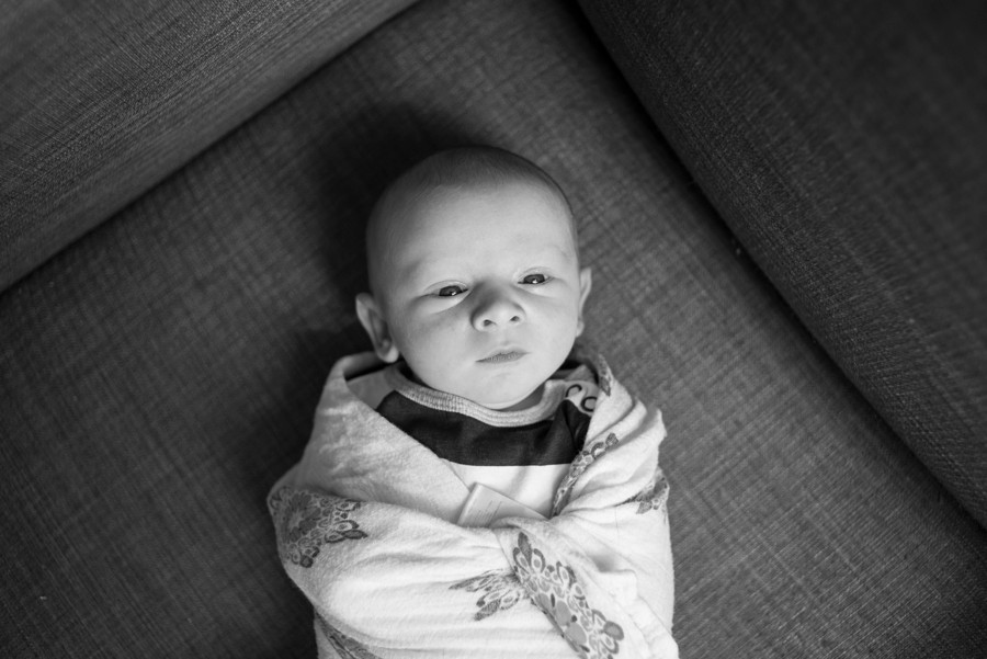 Natick Children's Photography - Natick Family Photographer Stephanie Rita Photo_0200