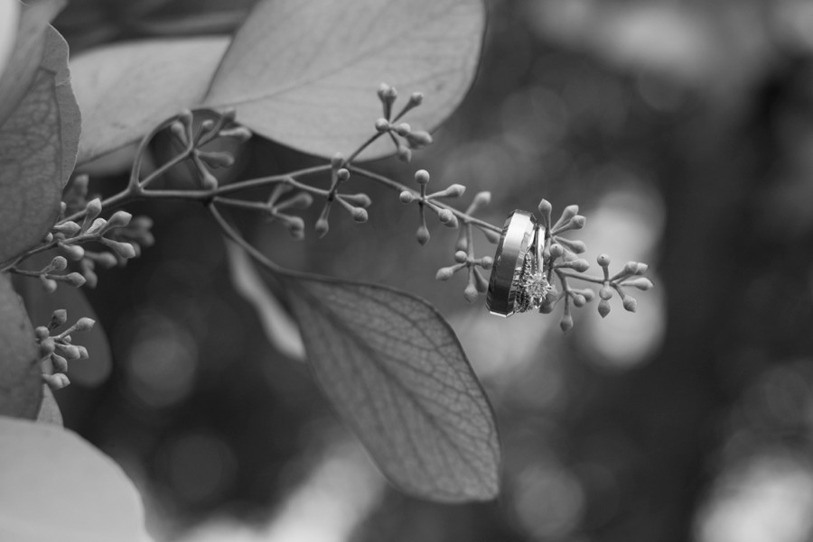 sturbridge-ma-wedding-photography-at-wight-barn-stephanie-rita-photography_0377