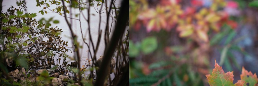 hiking-outdoors-mountain-mount-israel-stephanie-rita-photography_0068