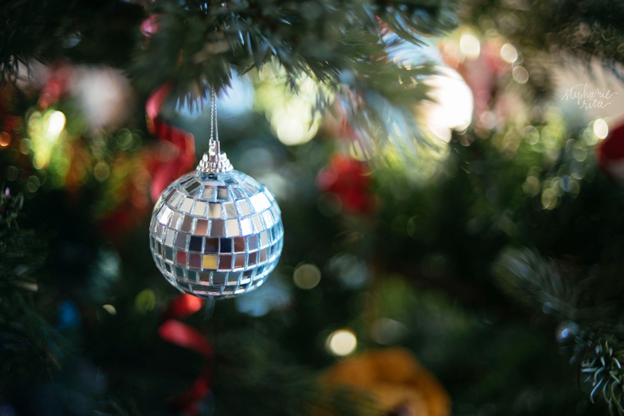 stephanie-rita-photography-natick-ma-photographer-personal_0143